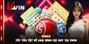 bingo tai vwin