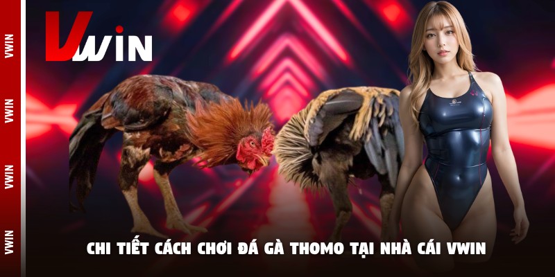 Thông tin cần nắm về cách chơi đá gà Thomo