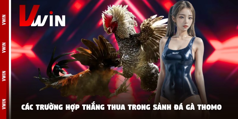 Các trường hợp thắng thua trong sảnh đá gà Thomo