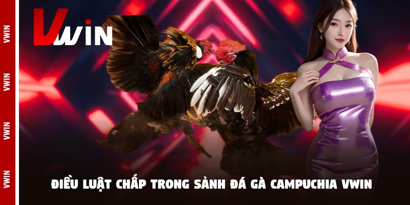Điều luật chấp trong sảnh đá gà campuchia Vwin