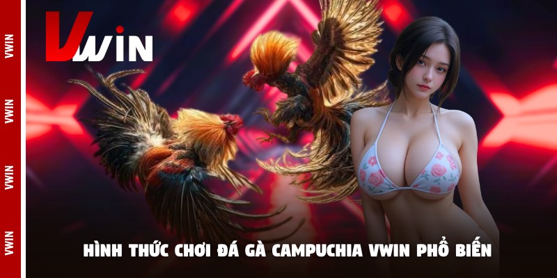 Hình thức chơi đá gà campuchia Vwin phổ biến