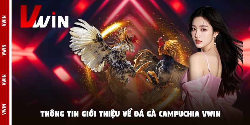 Thông tin giới thiệu về đá gà campuchia Vwin