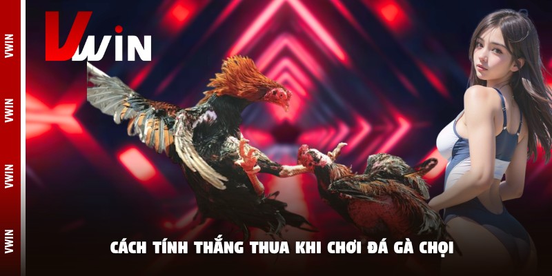 Khi nào chơi đá gà chọi chiến thắng