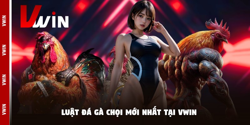 Luật đá gà chọi mới nhất tại Vwin