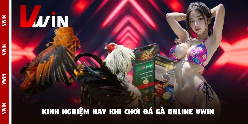 Kinh nghiệm hay khi chơi đá gà online Vwin