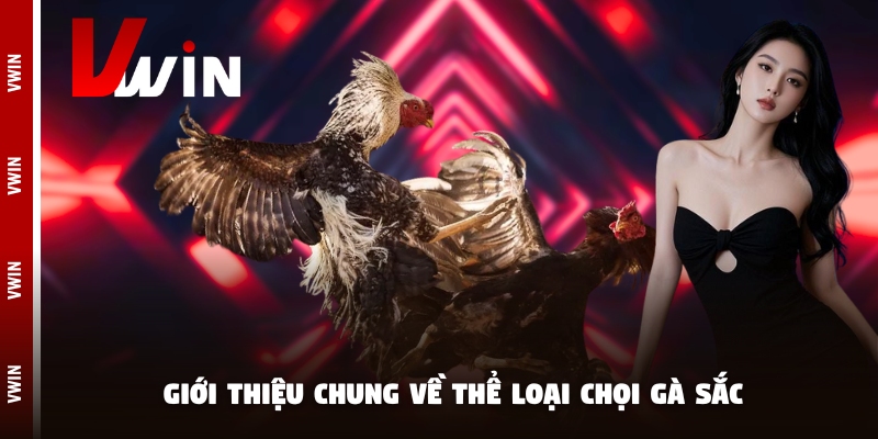 Giới thiệu chung về thể loại chọi gà sắc