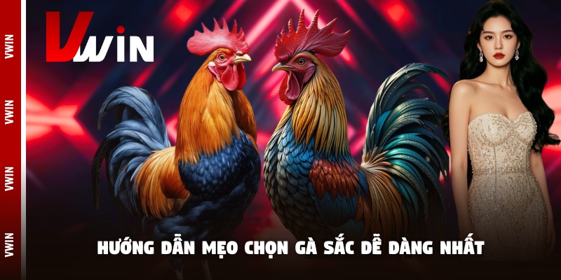 Tìm hiểu thành tích của các chiến kê là điều cần thiết