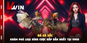 Đá Gà Sắc - Khám Phá Loại Hình Cược Hấp Dẫn Nhất Tại Vwin