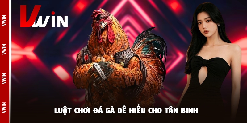 Luật chơi đá gà dễ hiểu cho tân binh