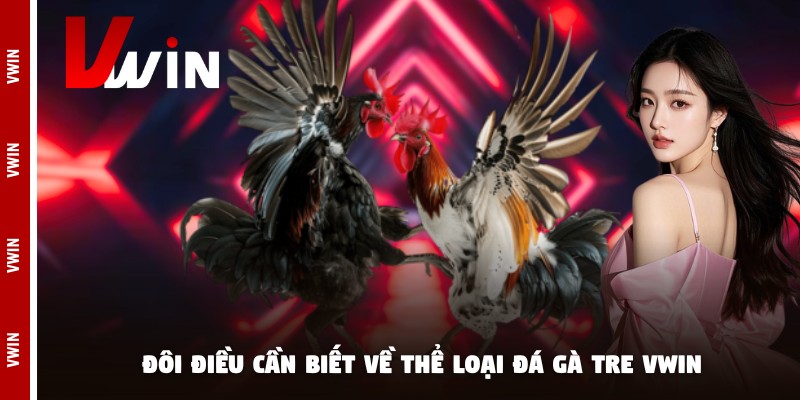 Đôi điều cần biết về thể loại đá gà tre Vwin