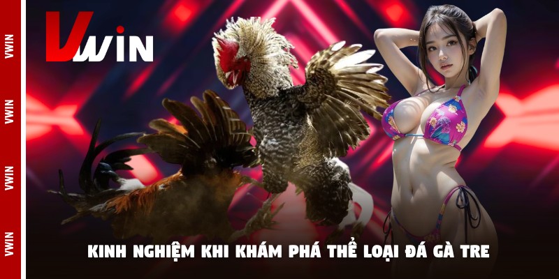 Kinh nghiệm khi khám phá thể loại đá gà tre