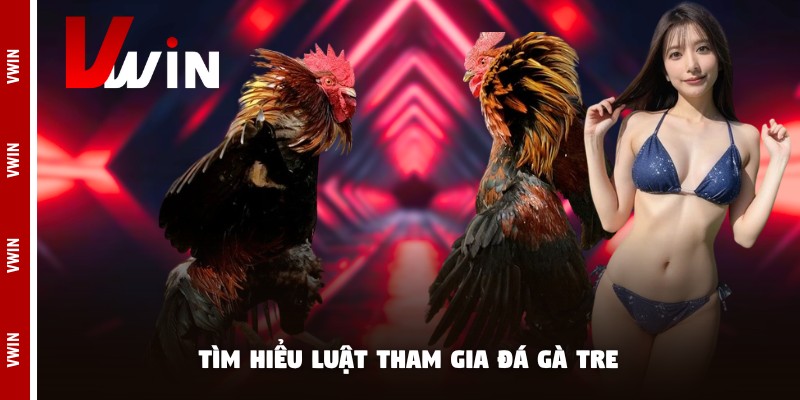 Tìm hiểu luật tham gia đá gà tre