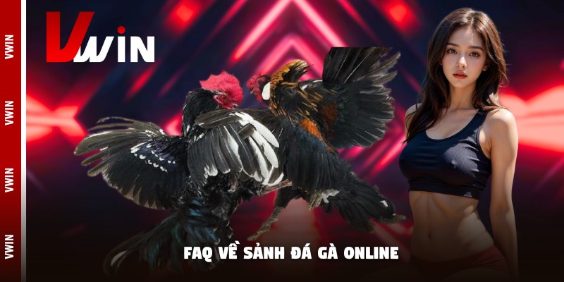FAQ về sảnh đá gà online