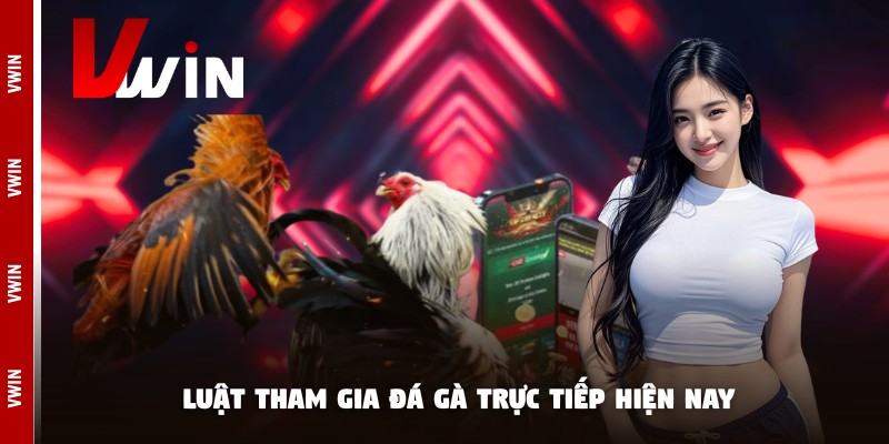 Luật tham gia đá gà trực tiếp hiện nay