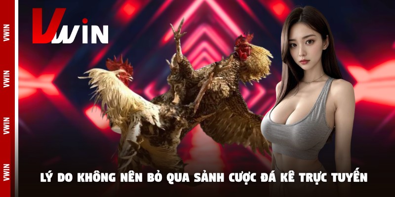 Lý do không nên bỏ qua sảnh cược đá kê trực tuyến