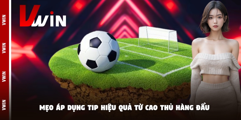 Mẹo áp dụng tip hiệu quả từ cao thủ hàng đầu
