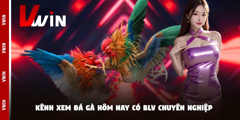 Kênh xem đá gà hôm nay có BLV chuyên nghiệp