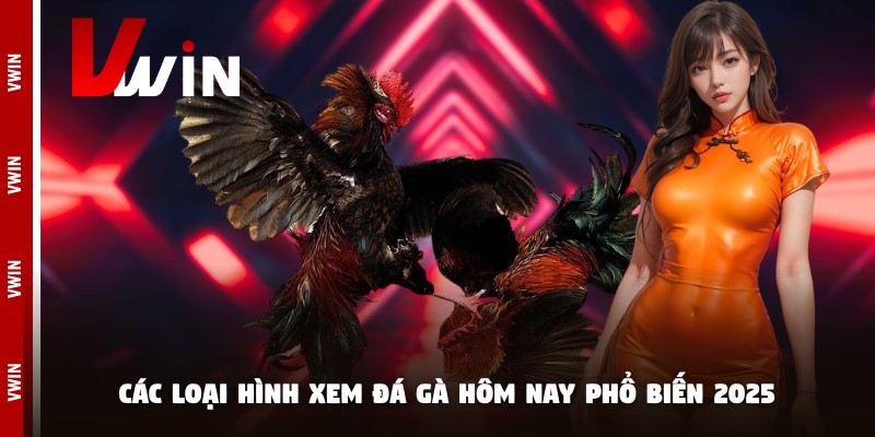 Các loại hình xem đá gà hôm nay phổ biến 2025