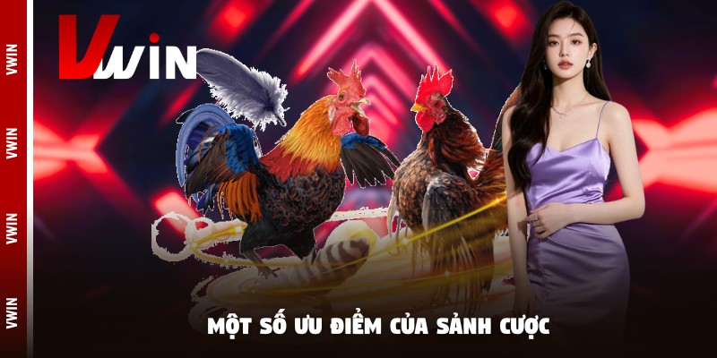 Một số ưu điểm của sảnh cược