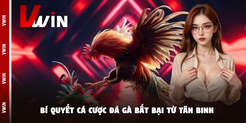Bí quyết cá cược đá gà bất bại từ tân binh Bí quyết cá cược đá gà bất bại từ tân binh