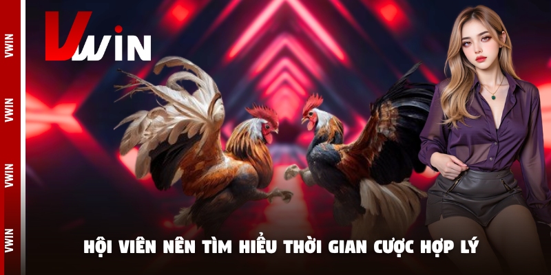 da ga hoi vien Hội viên nên tìm hiểu thời gian cược hợp lý