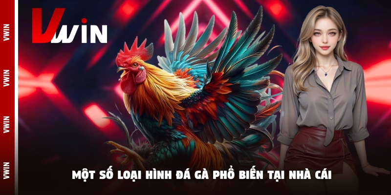 da ga nha cai Một số loại hình đá gà phổ biến tại nhà cái