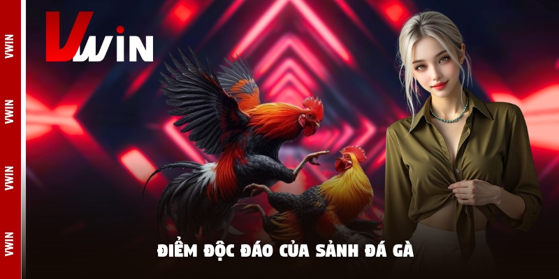 da ga sanh da Điểm độc đáo của sảnh đá gà
