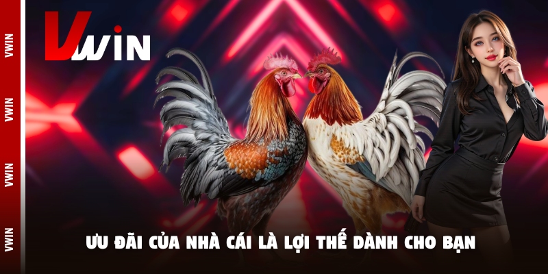 da ga uu dai Ưu đãi của nhà cái là lợi thế dành cho bạn